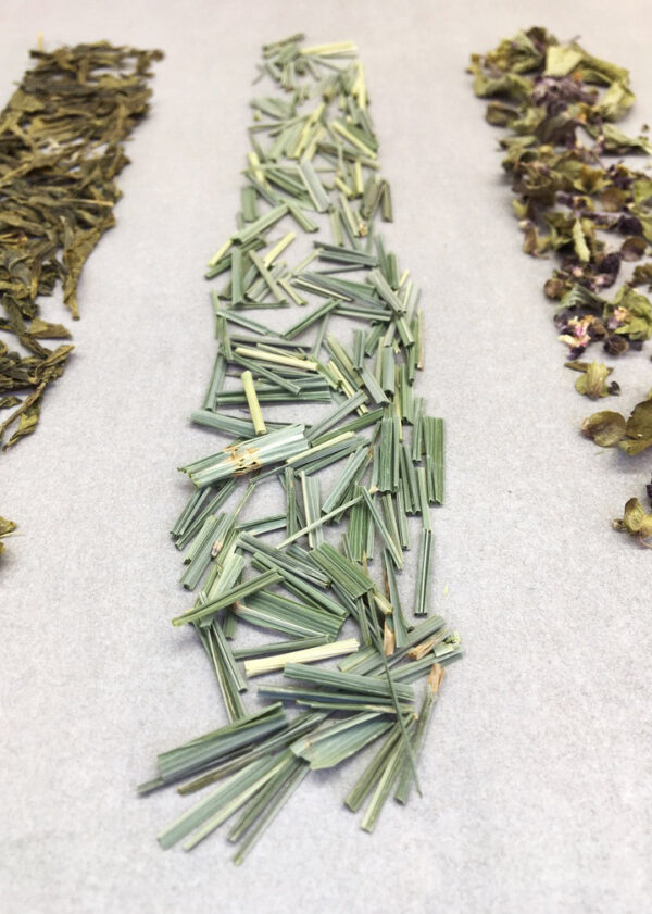 Alchimia Hyperborea lemongrass