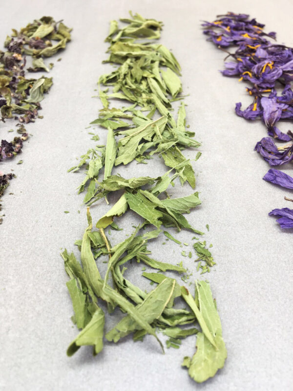 Alchimia Hyperborea stevia