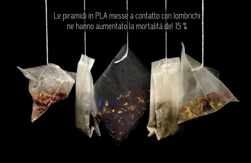 Hyperborea the e tisane